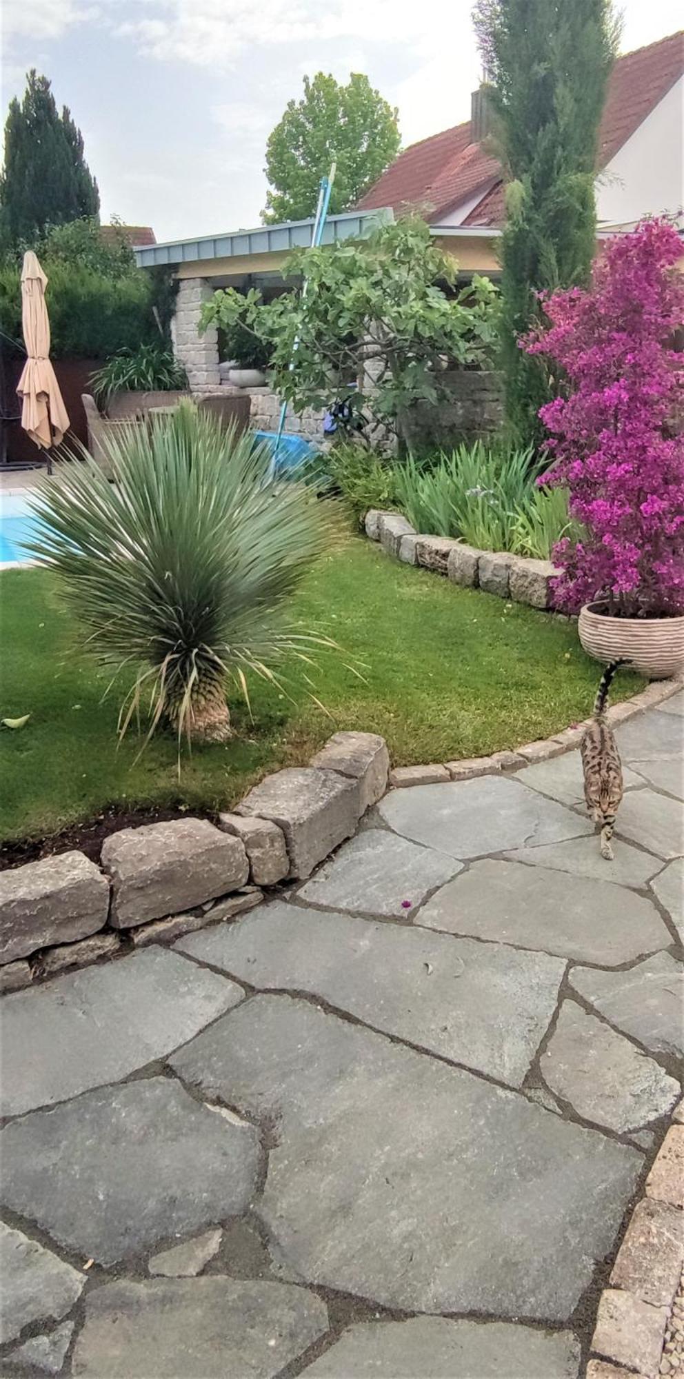 Ferienwohnung Bel Giardino FDH Exterior foto
